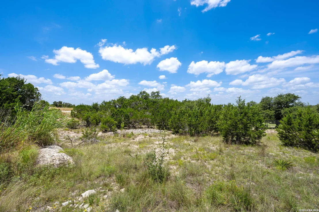 Photo of 34705 Mayer Oaks