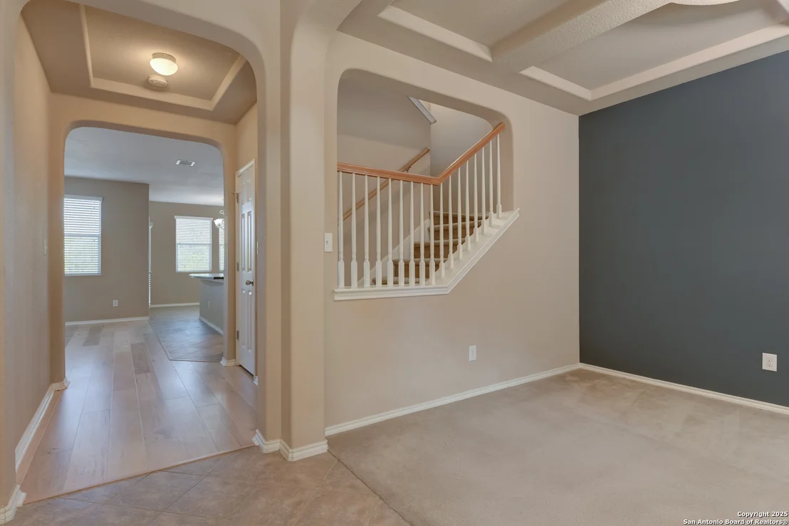 Photo of 2719 Night Star