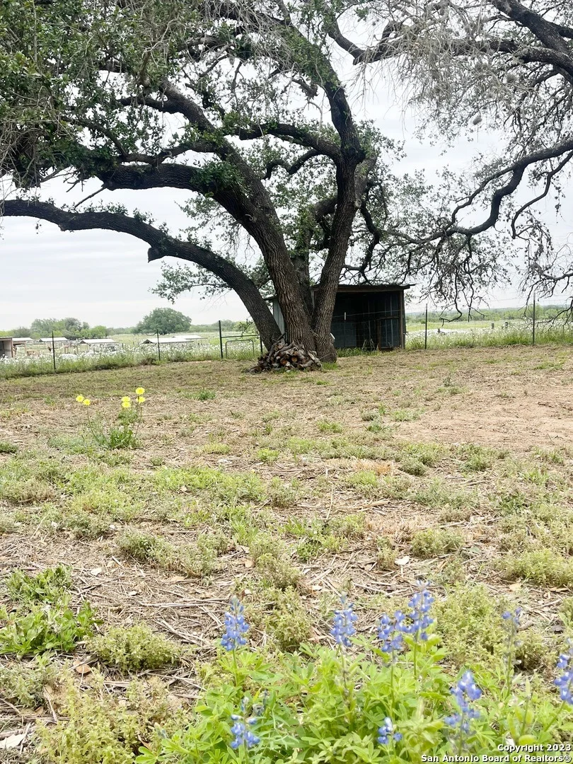 Photo of 1722 COUNTY ROAD 676