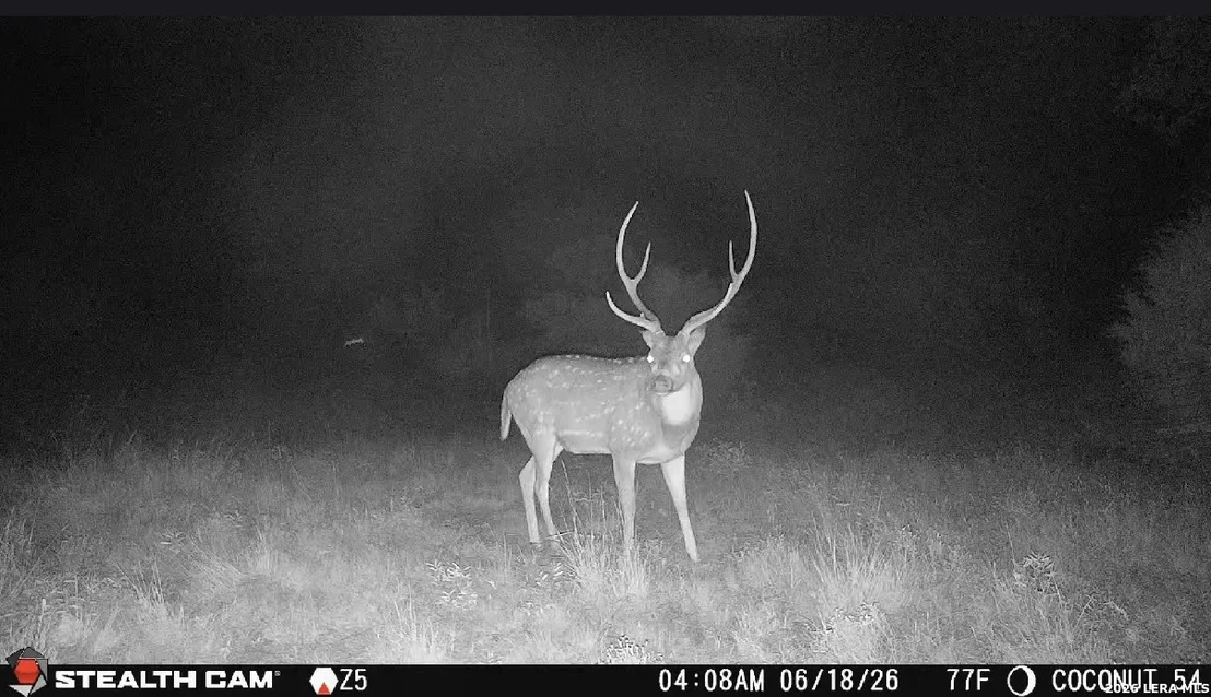 Photo of 0 W CR 450