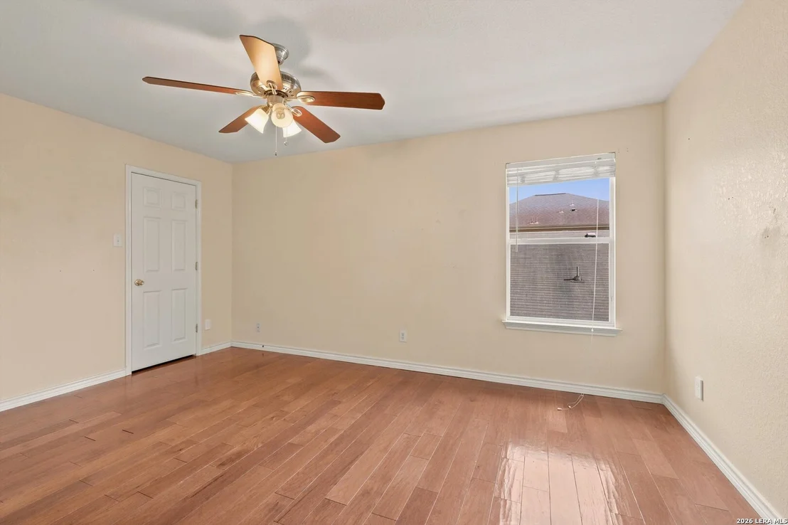 Photo of 802 Celosia