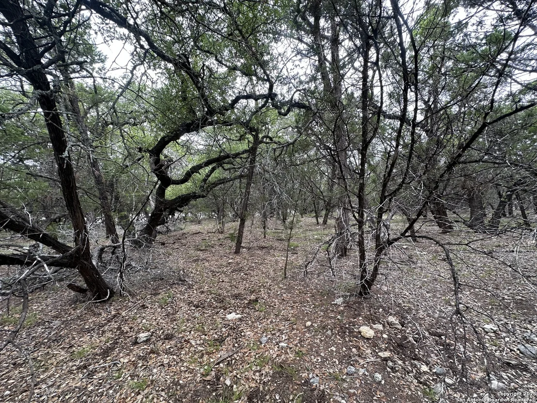 Photo of 000 Blanco Road