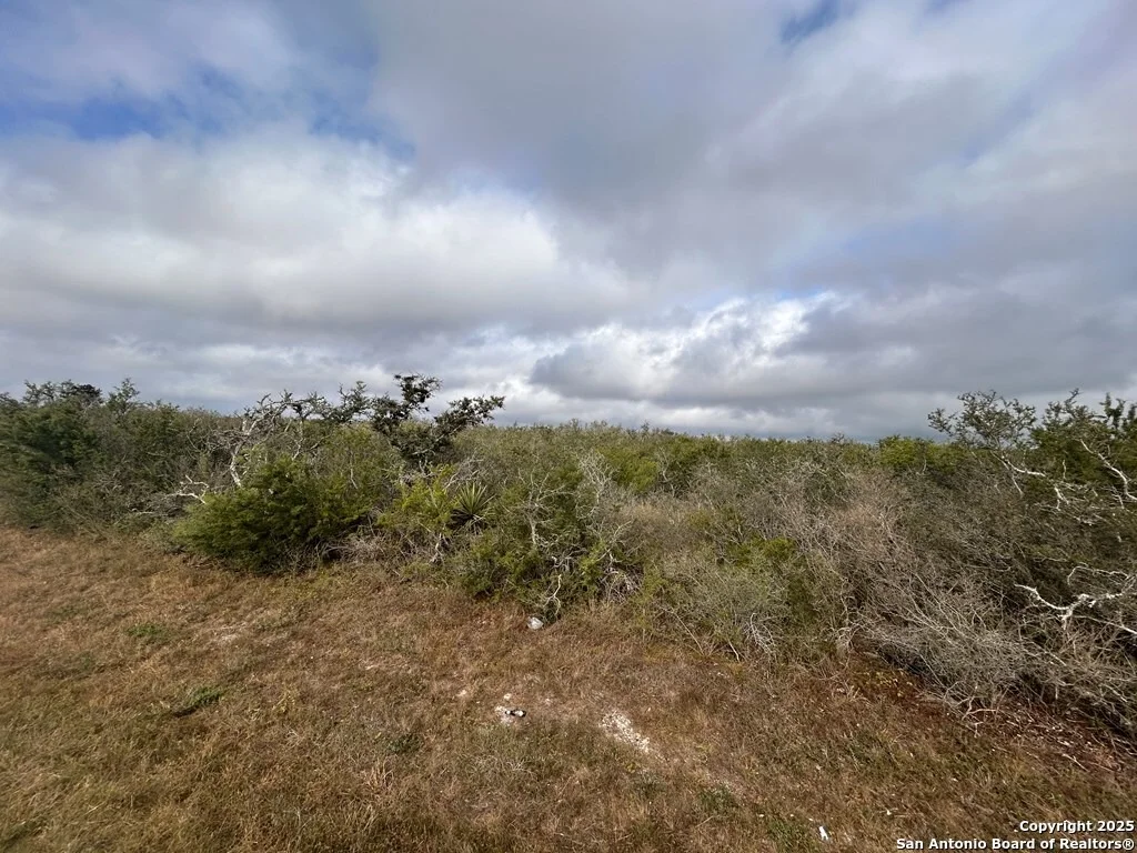 Photo of TBD Hackberry Dr.
