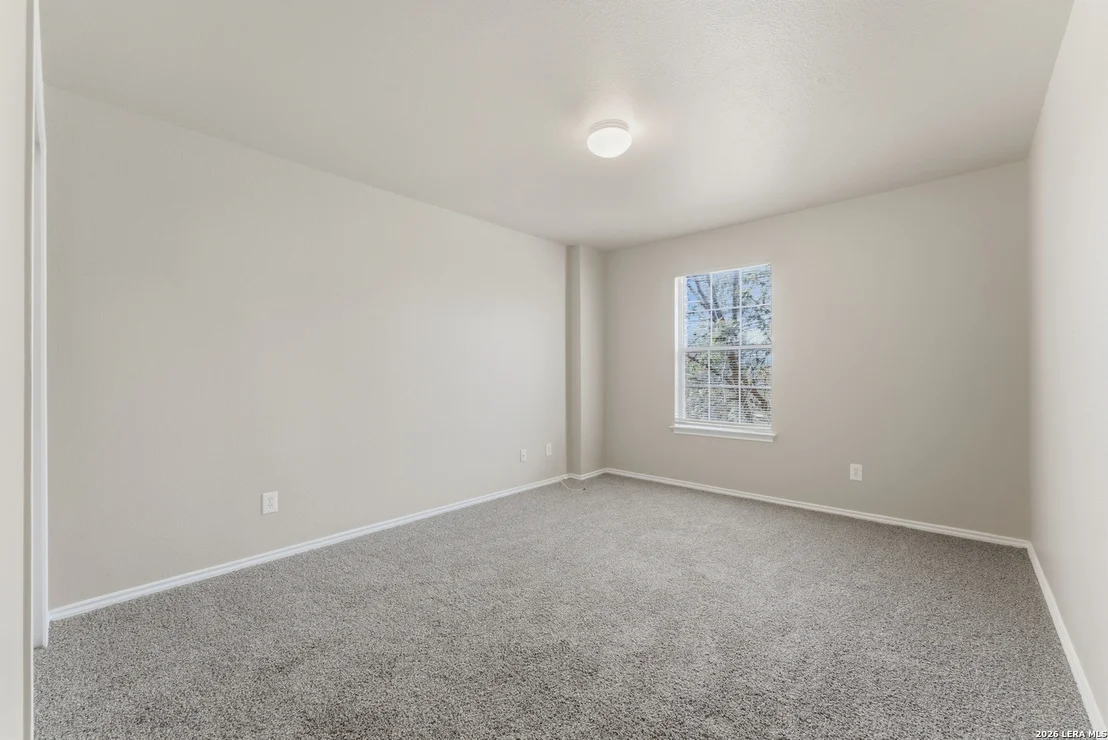 Photo of 1754 Barking Wolf