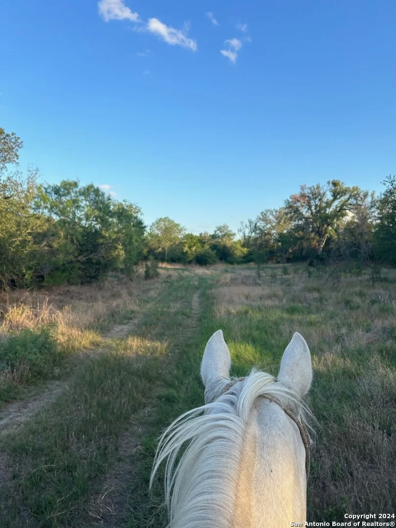 Photo of 000 County Road 562