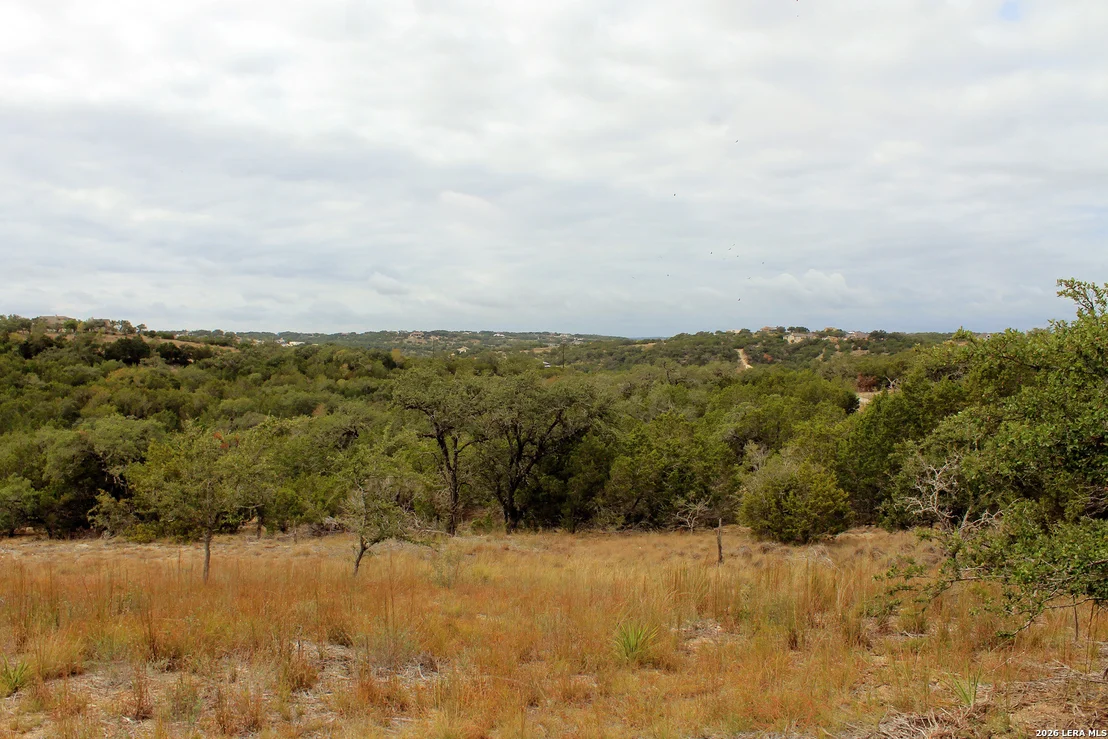 Photo of 291 Stargrass