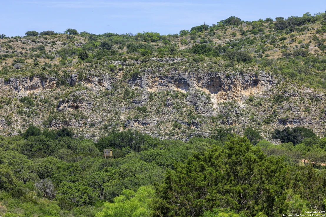 Photo of 256 Persimmon Point