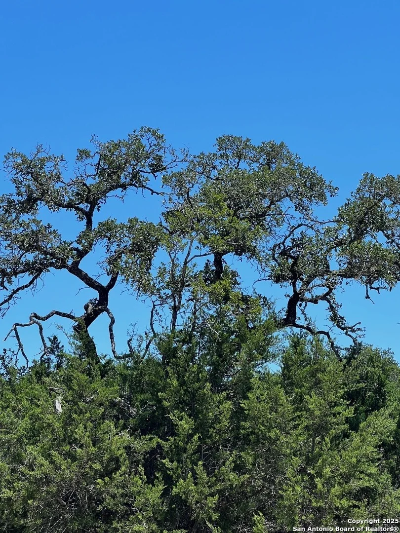 Photo of 551 Ranch Vly