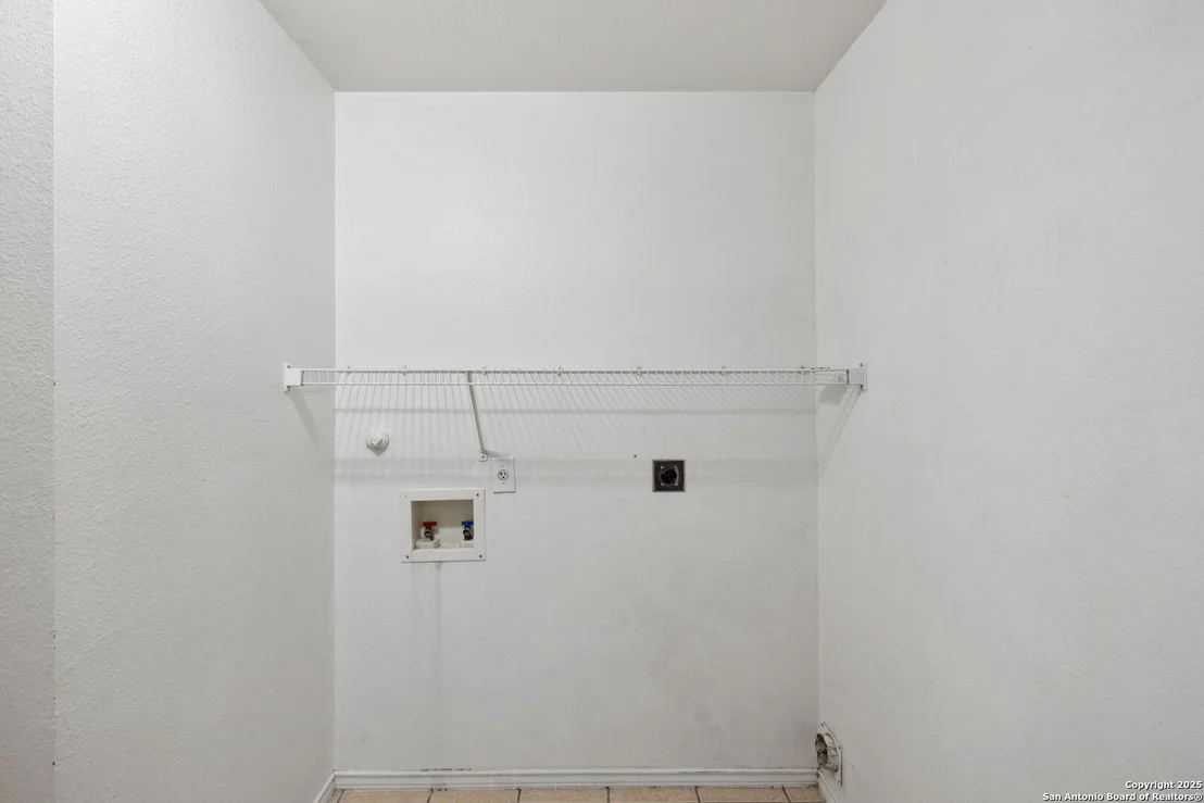 Photo of 284 Texas Mulberry