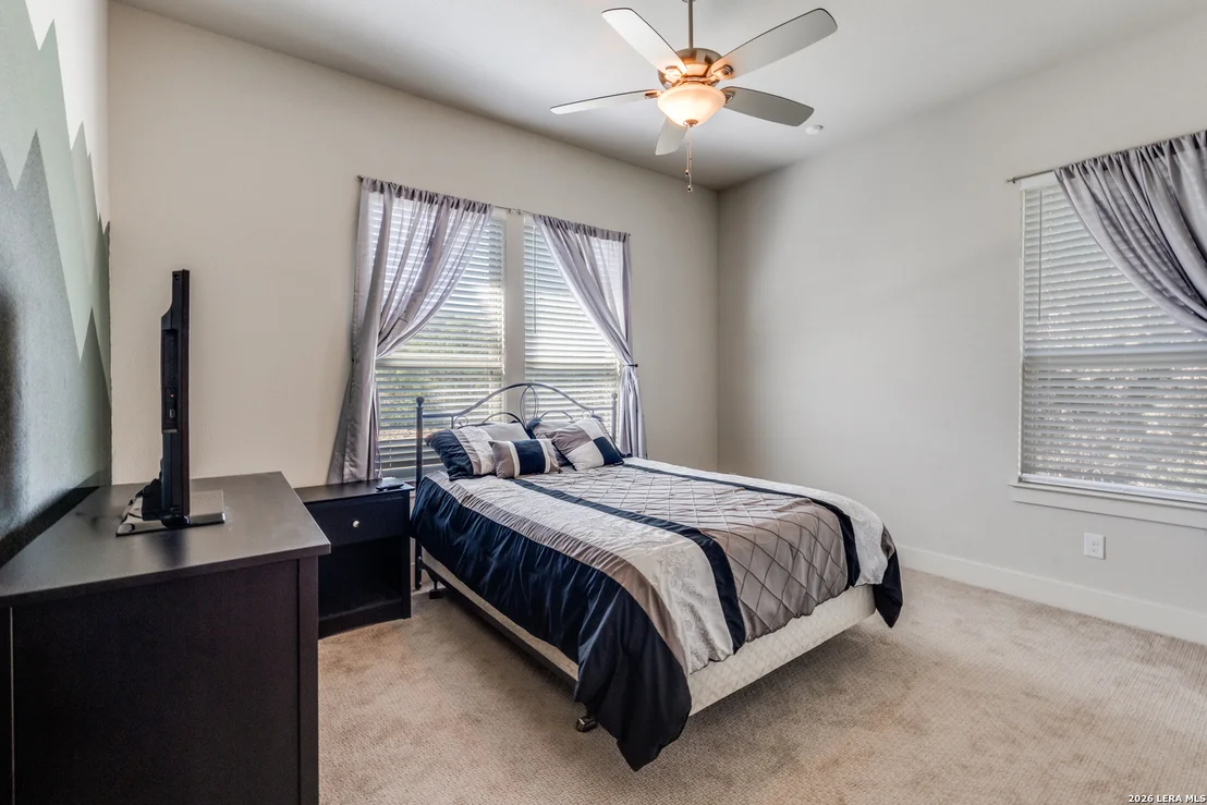 Photo of 230 Sabella