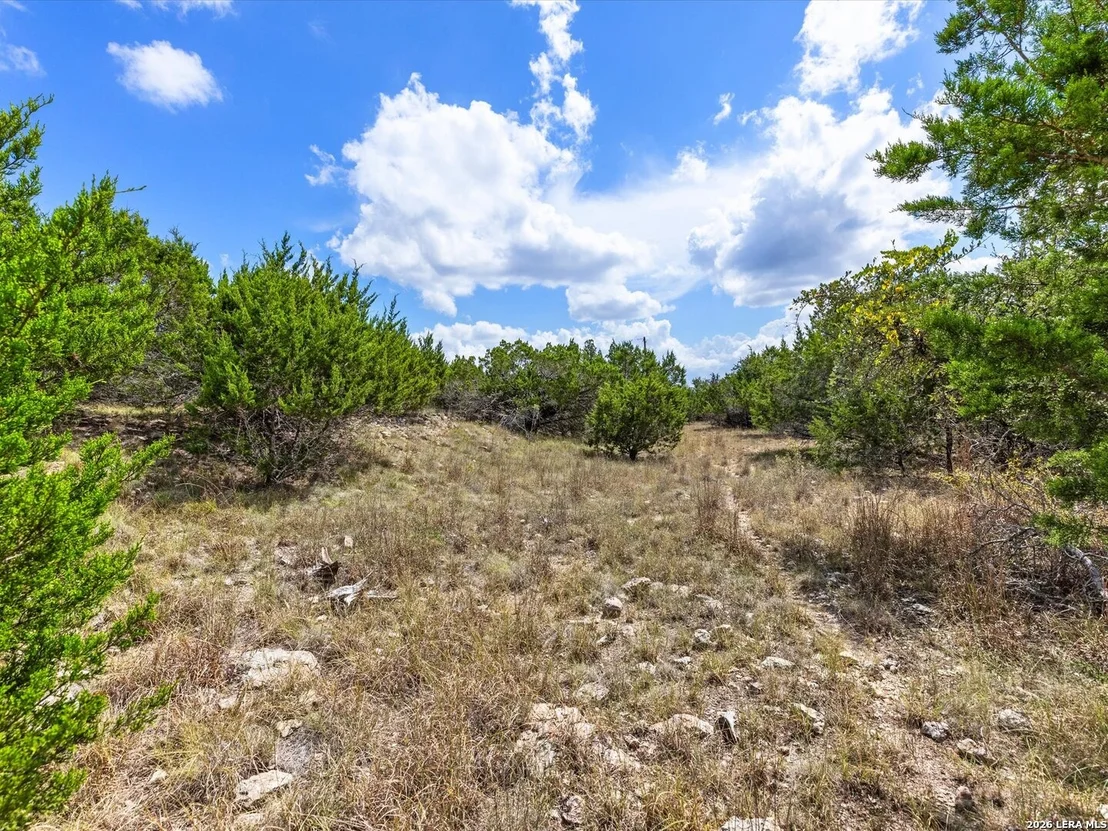 Photo of 331 RIDGE PT