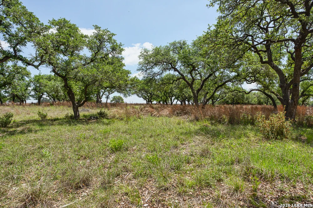 Photo of 127 EL NOPAL