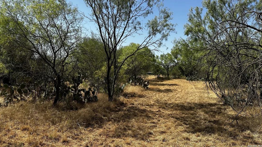 Photo of 161 CR 2644