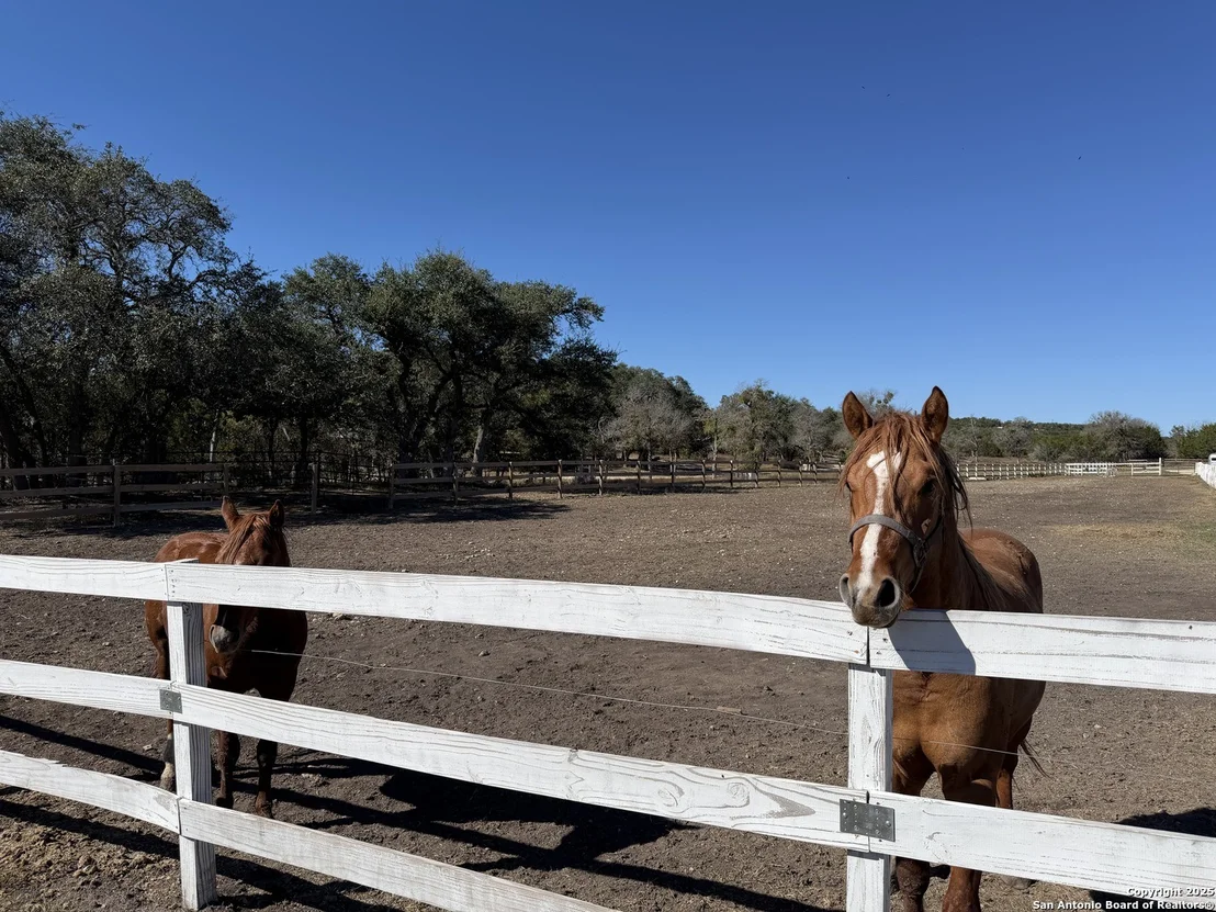 Photo of 1841 Oak Meadows