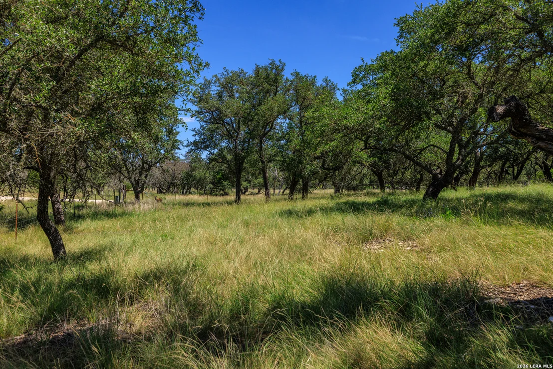 Photo of 429 Spanish Oak