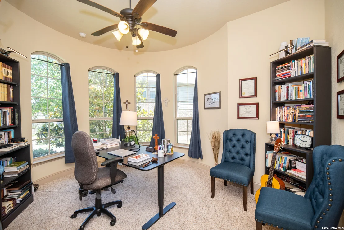 Photo of 25603 Santolina