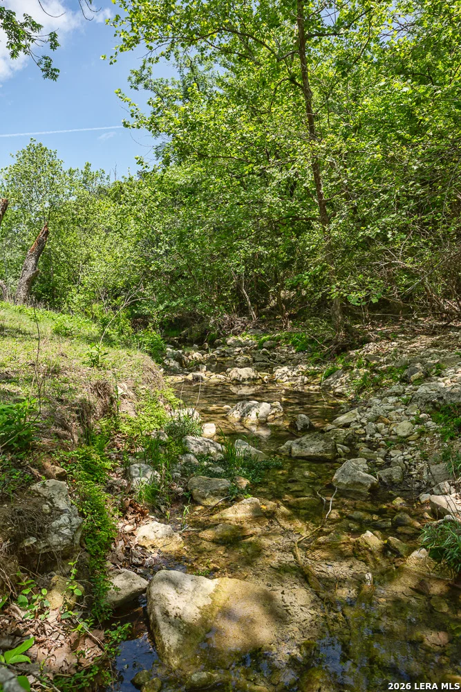Photo of 127 EL NOPAL