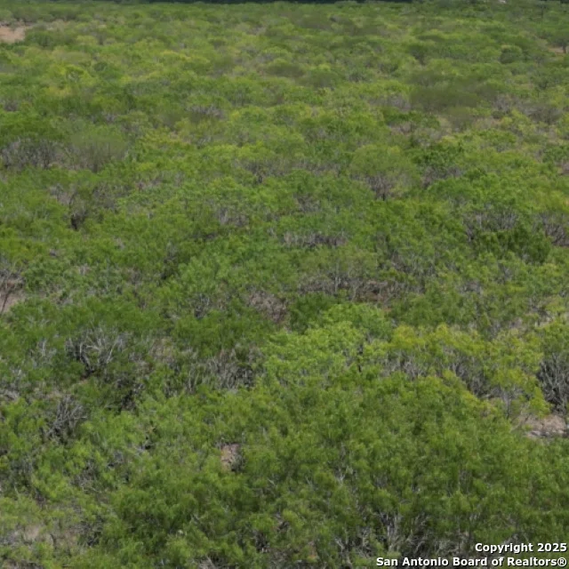 Photo of 0 FM 2049