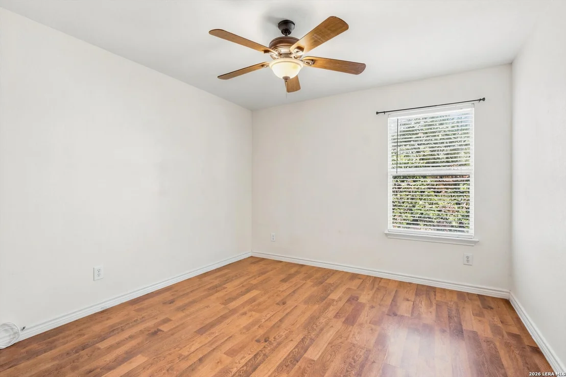Photo of 802 Celosia