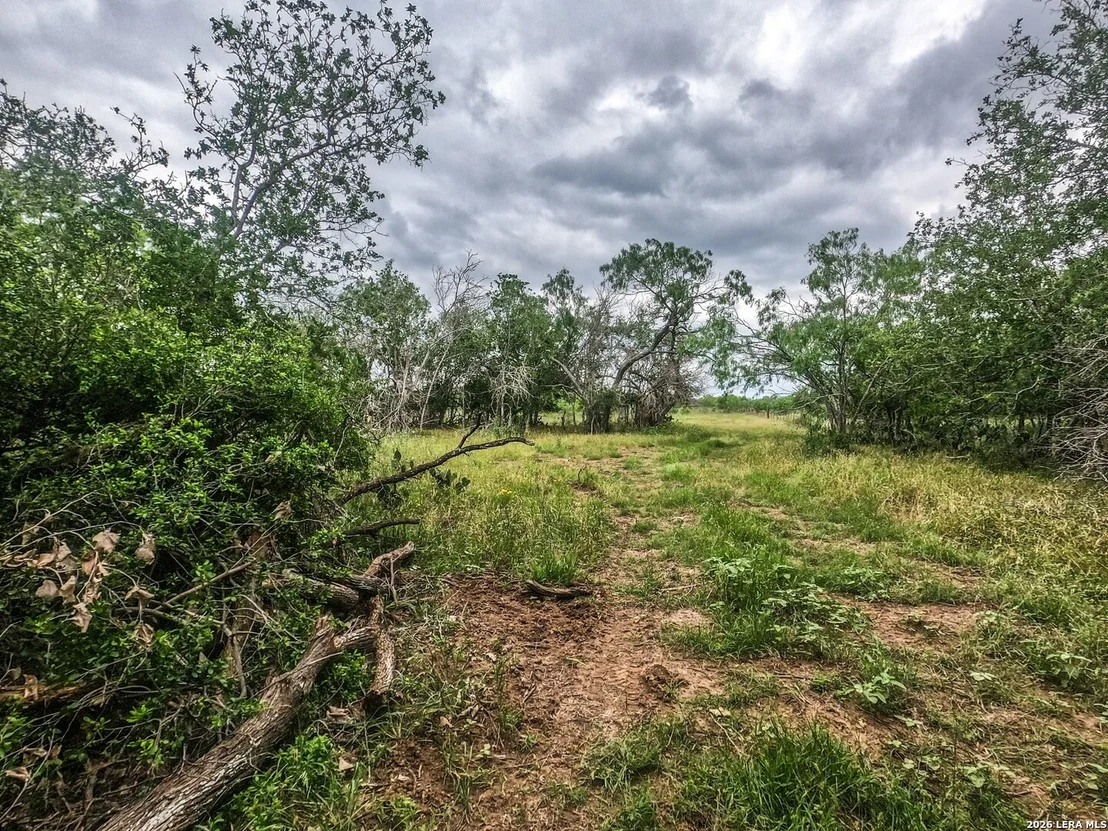 Photo of 8933 County Road 401