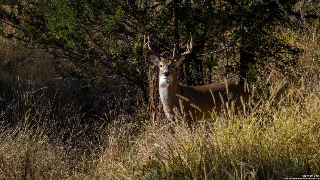 Photo of 7702 ranch road 965