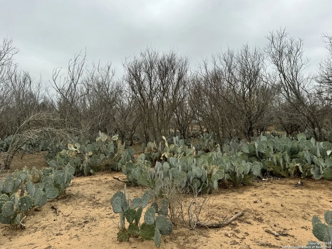 Photo of 3075 County Road 5710