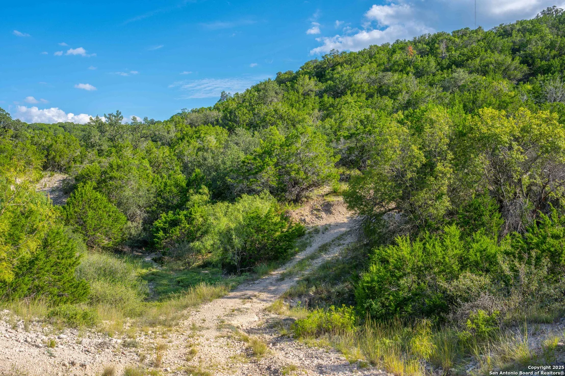 Photo of TBD FM 2169