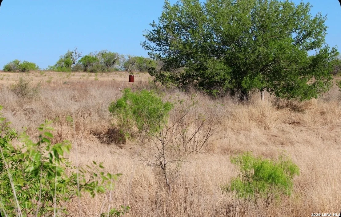 Photo of 435 County Road 7715