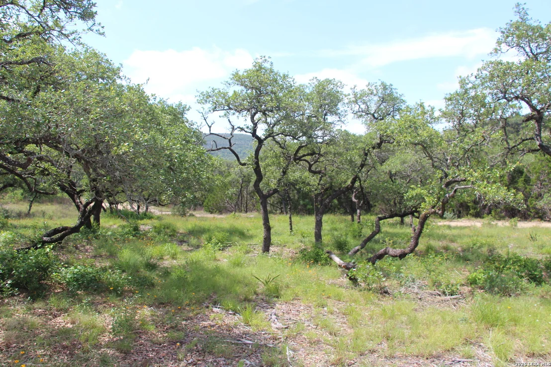 Photo of LOT 52 Clear Water Cyn