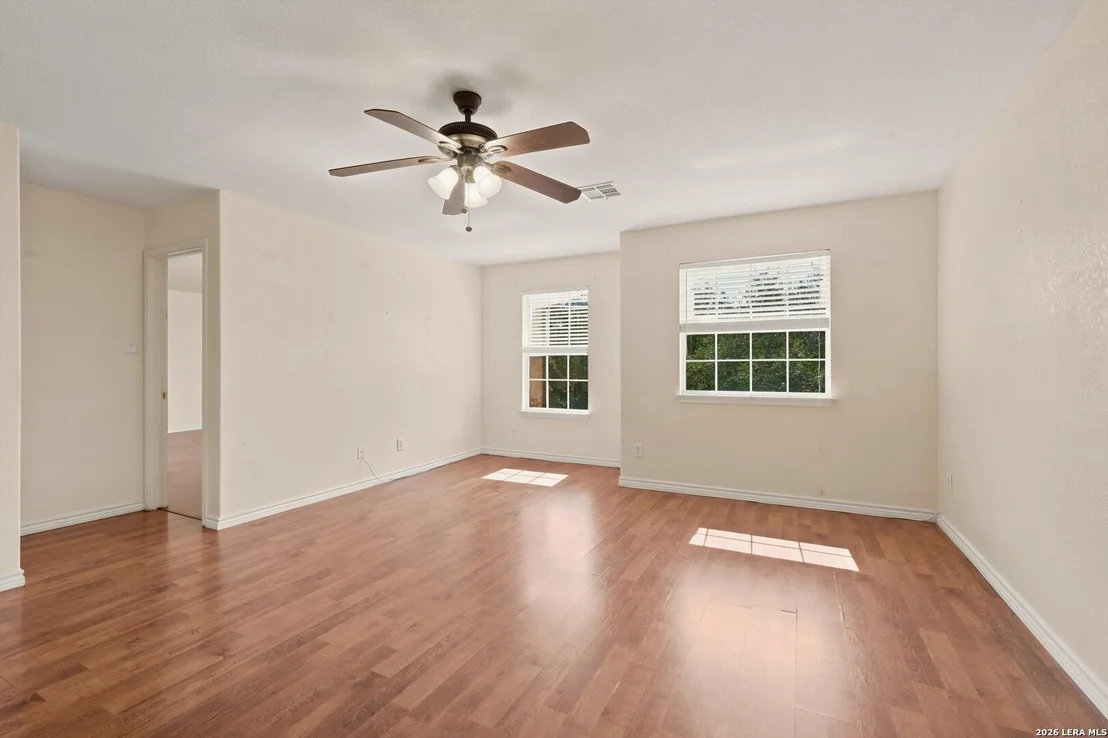 Photo of 802 Celosia