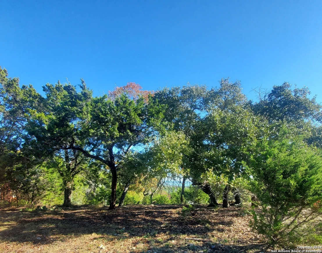 Photo of 152 mountainview