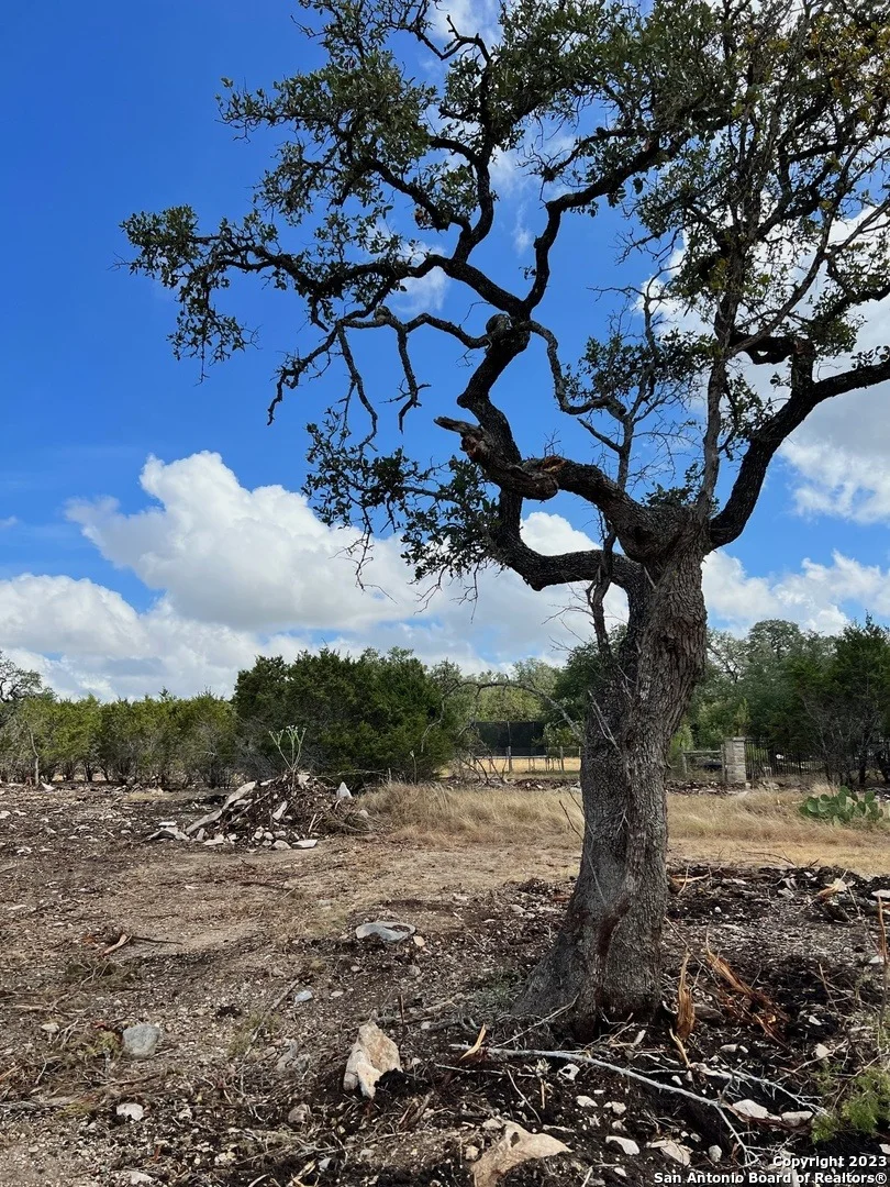 Photo of 5 RANCH PT
