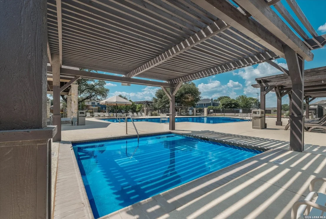 Photo of 802 Celosia