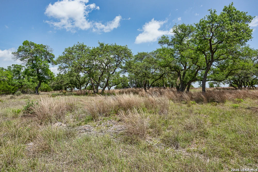Photo of 127 EL NOPAL