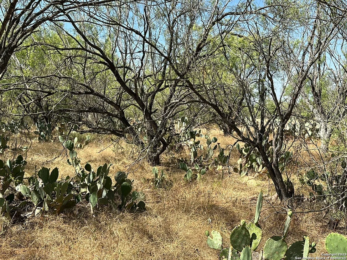 Photo of 157 CR 2644