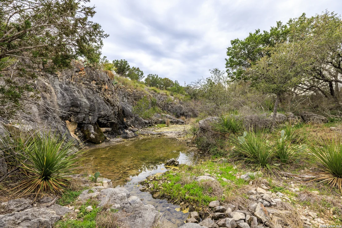 Photo of 256 Persimmon Point