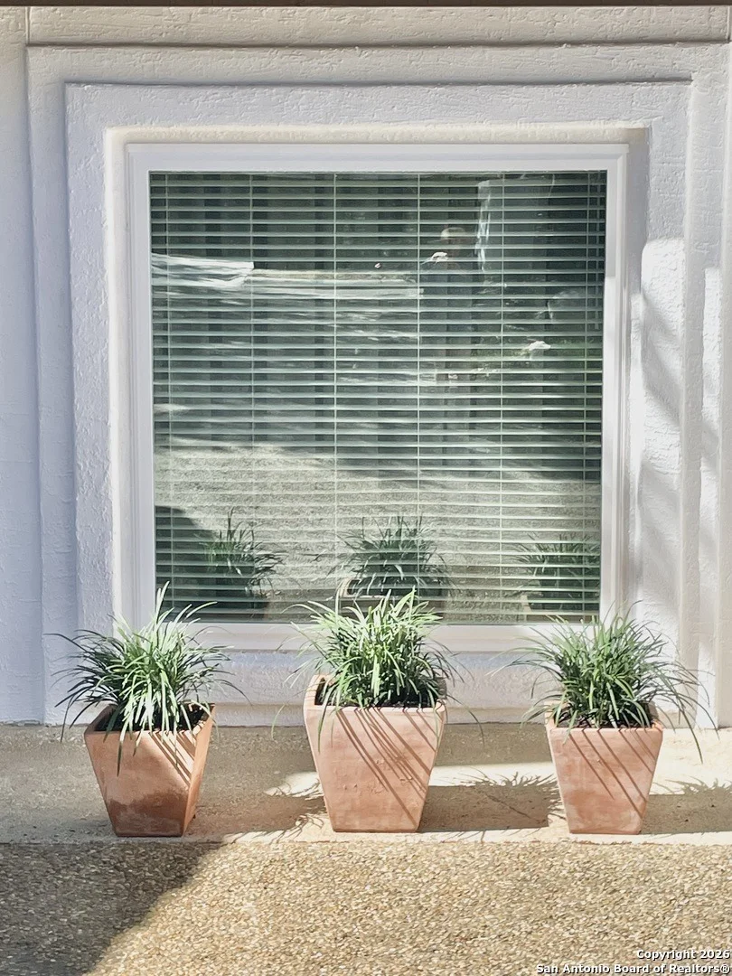 Photo of 29607 Terra Bella