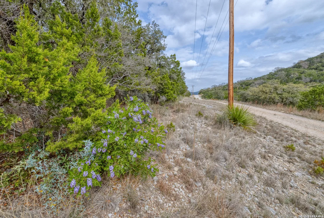 Photo of 430 Frio Canyon