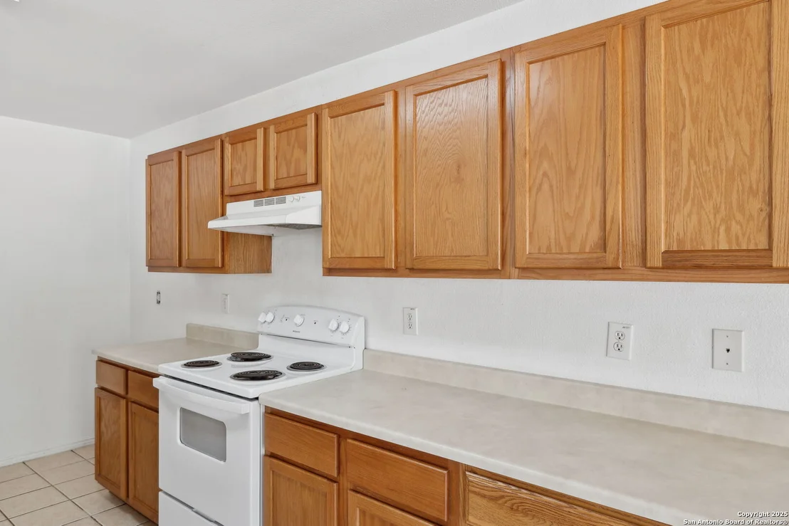 Photo of 284 Texas Mulberry