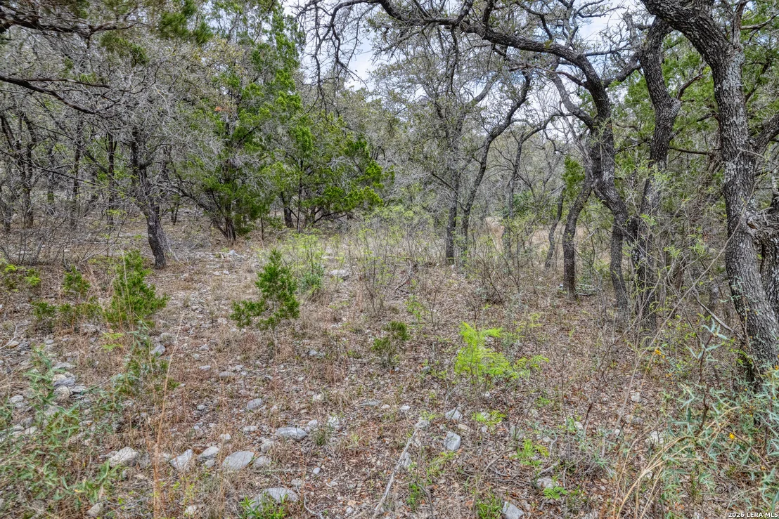 Photo of 430 Frio Canyon