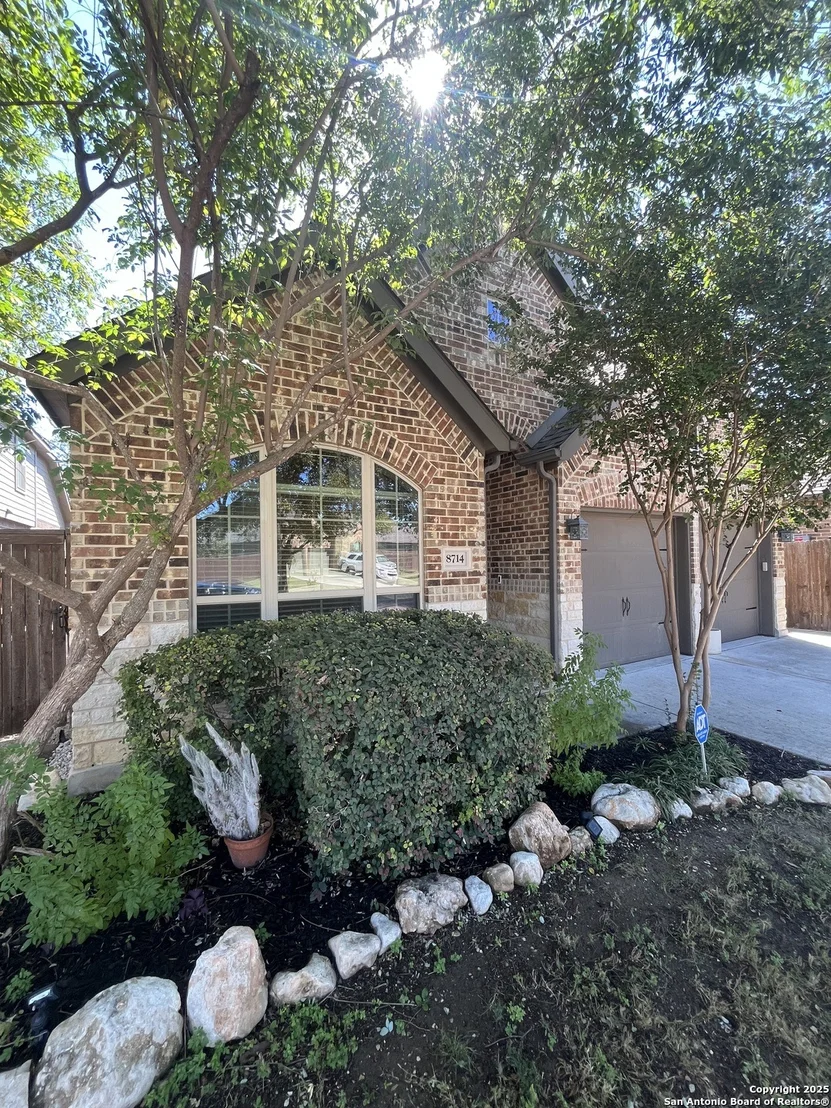 Photo of 8714 White Crown
