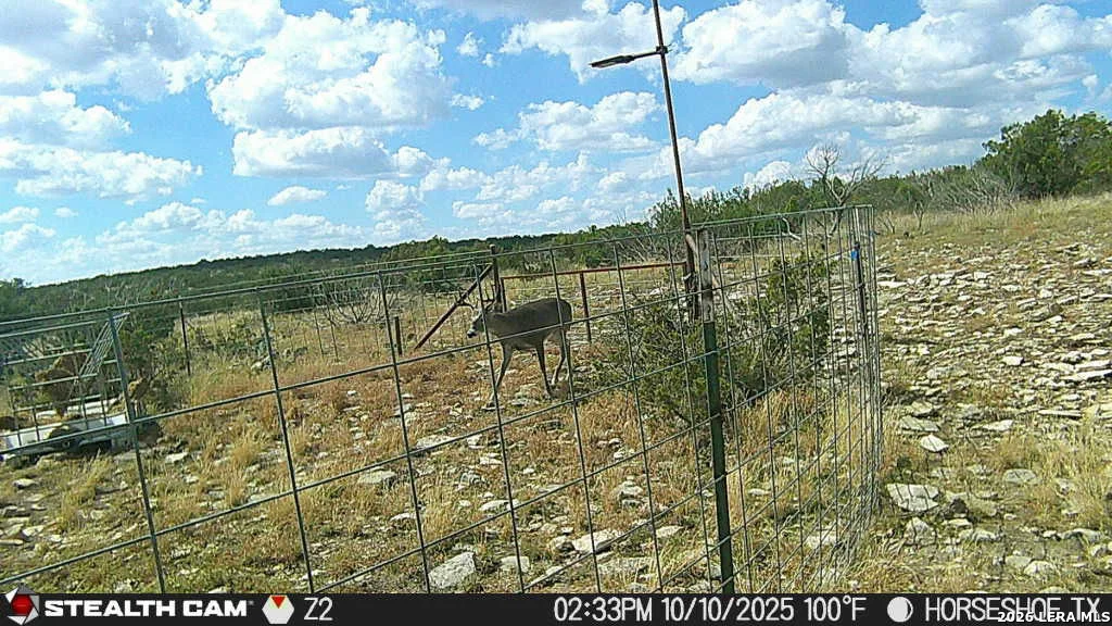 Photo of 0 W Cooper Rd