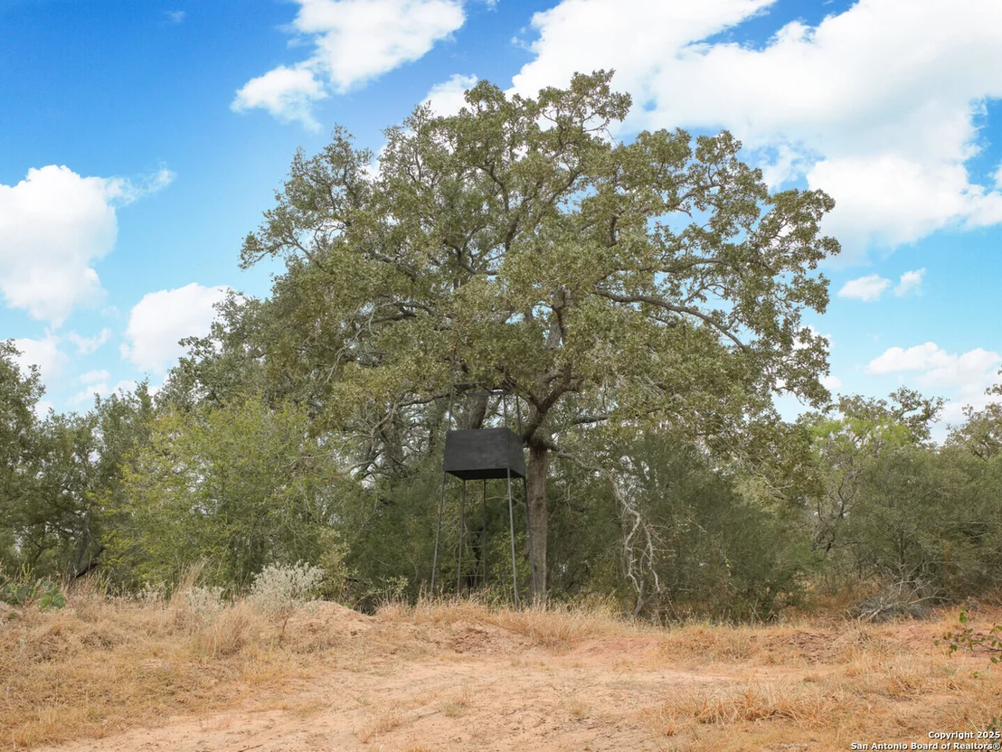 Photo of 1282 Patton Rd.