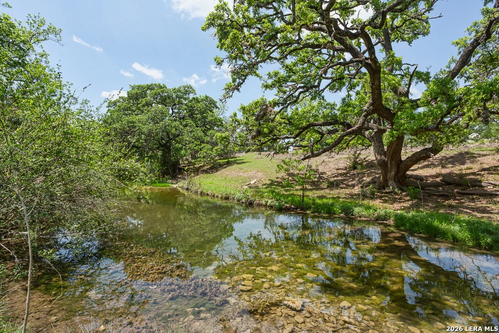 Photo of 127 EL NOPAL