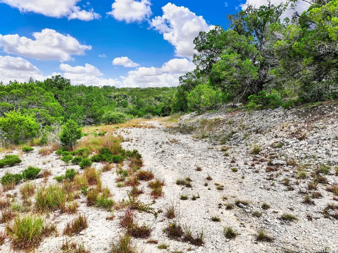 Photo of LOT 101 Pr 1712