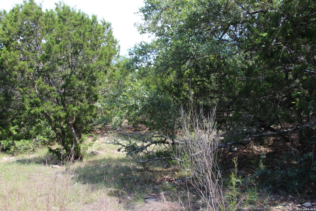 Photo of LOT 52 Clear Water Cyn