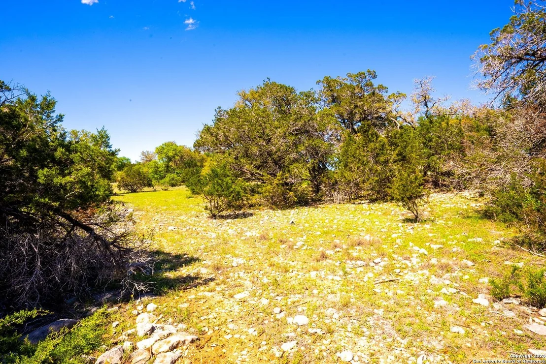 Photo of 98 SABINAS RIDGE RD