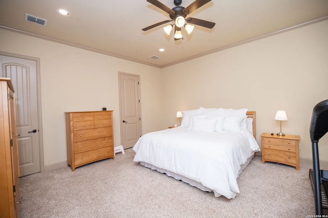 Photo of 25603 Santolina