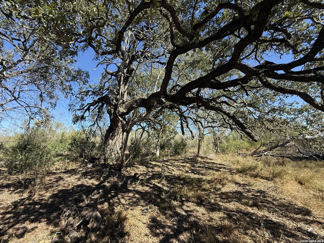 Photo of 415 COUNTY ROAD 1585
