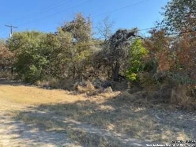 Photo of 23926 US 281 South
